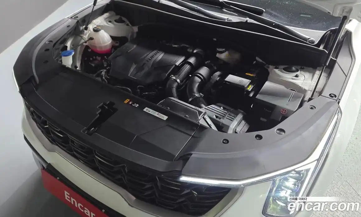 Kia Sorento 2023 2.5 гидро в Москве № 1418136, фото 6