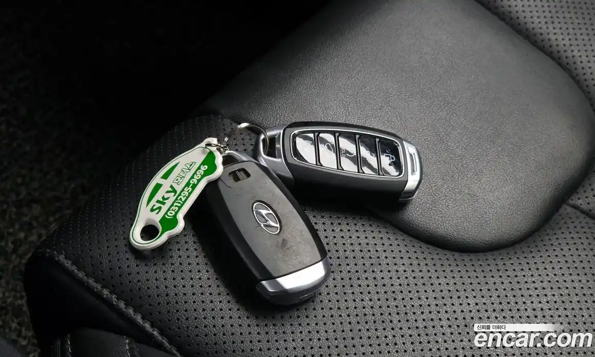 Hyundai Santa Fe 2019 2.0 гидро в Москве № 1610388, фото 33