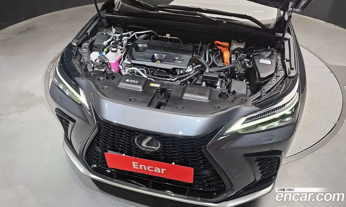 Lexus NX 2026 2.5 гидро в Москве № 1916879, фото 6