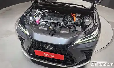 Lexus NX 2026 2.5 гидро в Москве № 1916879, миниатюра 6