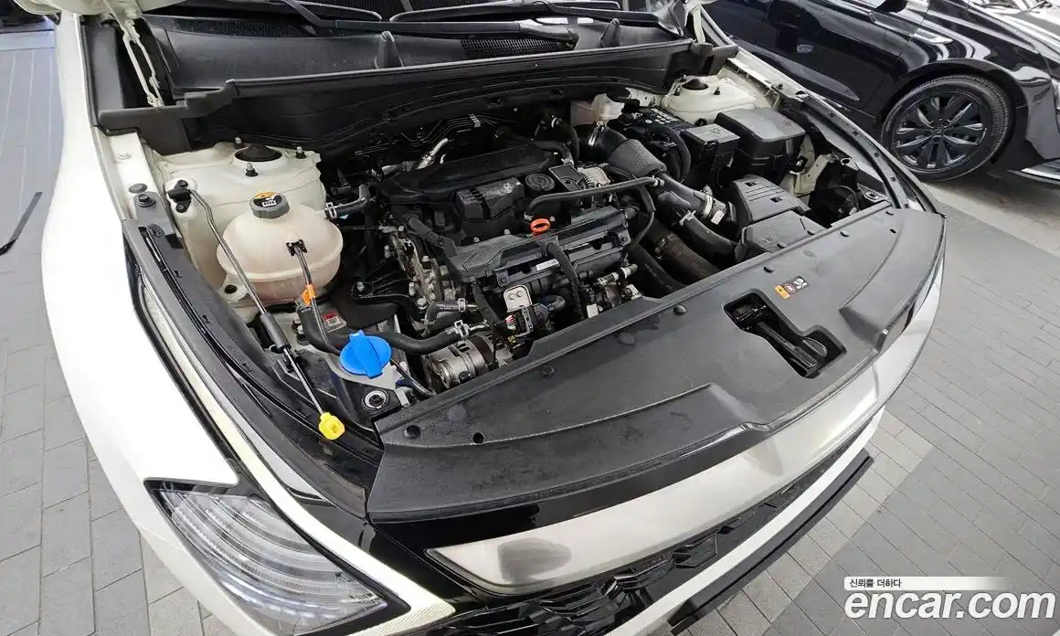 Kia Sportage 2021 1.6 гидро в Москве № 1342784, фото 6