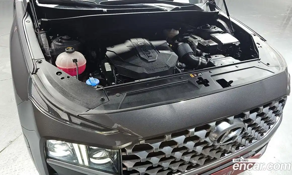 Hyundai Santa Fe 2020 2.2 гидро в Москве № 1417470, фото 6