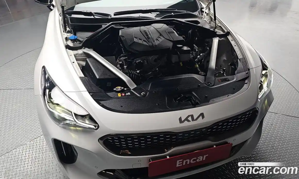 Kia Stinger 2023 2.5 гидро в Москве № 1538452, фото 6