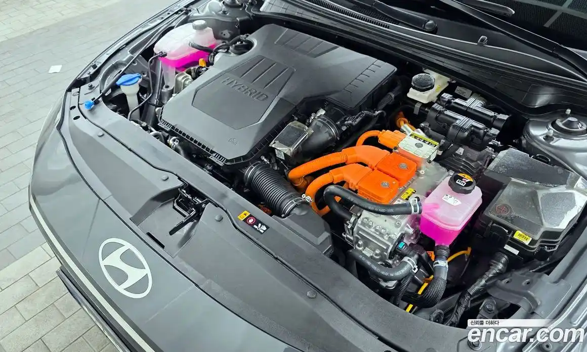Hyundai Avante 2025 1.6 гидро в Москве № 1610465, фото 6