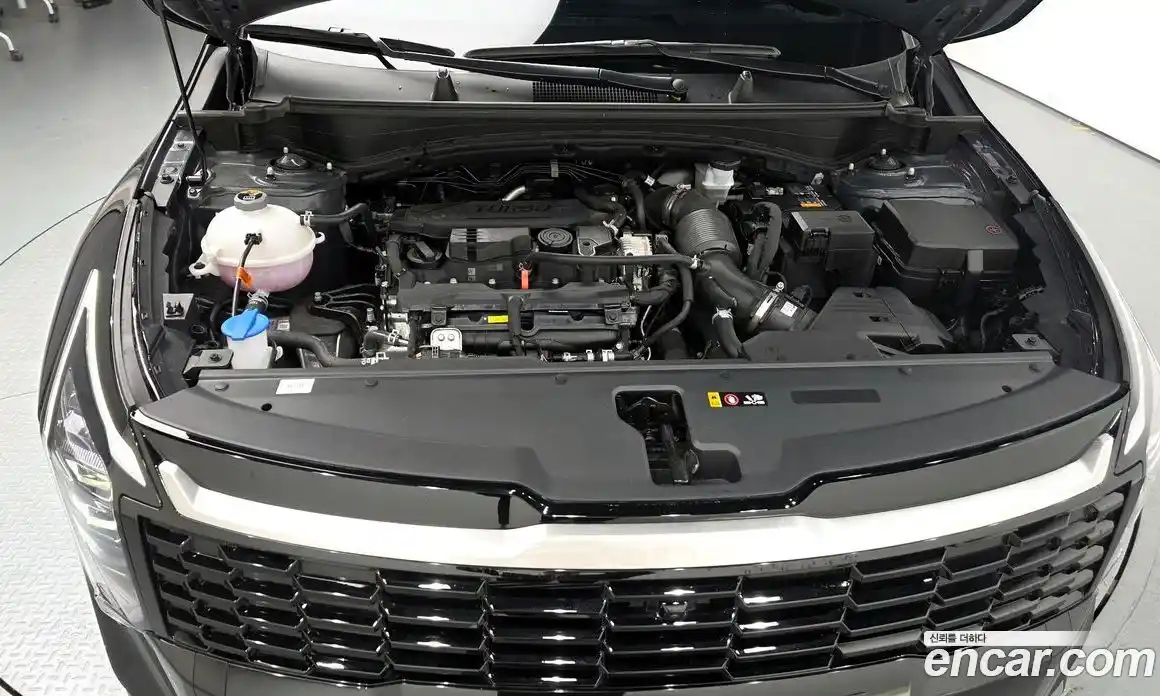 Kia Sportage 2025 1.6 гидро в Москве № 1417905, фото 6