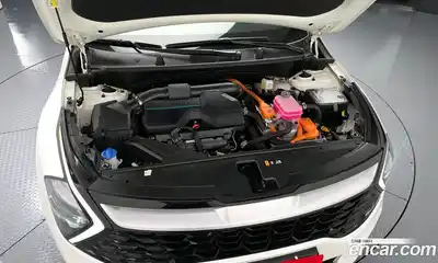 Kia Sportage 2022 1.6 гидро в Москве № 1758340, миниатюра 6