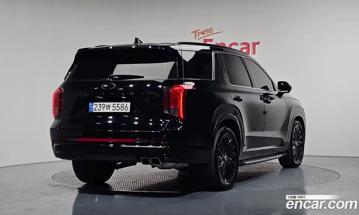 Hyundai Palisade 2023 3.8 гидро в Москве № 1903469, фото 2