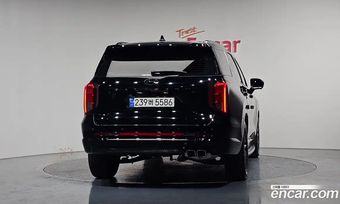 Hyundai Palisade 2023 3.8 гидро в Москве № 1903469, фото 4