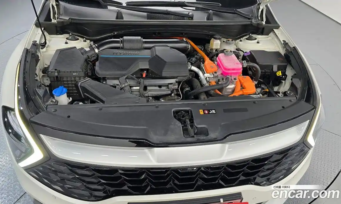 Kia Sportage 2024 1.6 гидро в Москве № 1684694, фото 6
