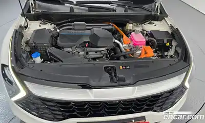 Kia Sportage 2024 1.6 гидро в Москве № 1684694, миниатюра 6