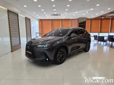 Lexus NX, 2025