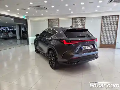 Lexus NX 2025 2.5 вариатор в Москве № 1917176, миниатюра 2