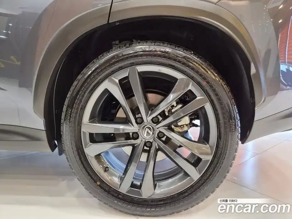 Lexus NX 2025 2.5 вариатор в Москве № 1917176, фото 6