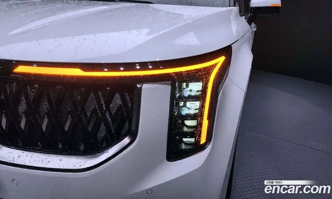 Kia Canival 2024 2.2 гидро в Москве № 1417902, фото 8