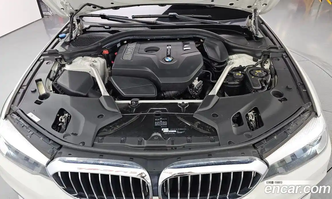 BMW 5-Series 2019 2.0 гидро в Москве № 1918466, фото 6
