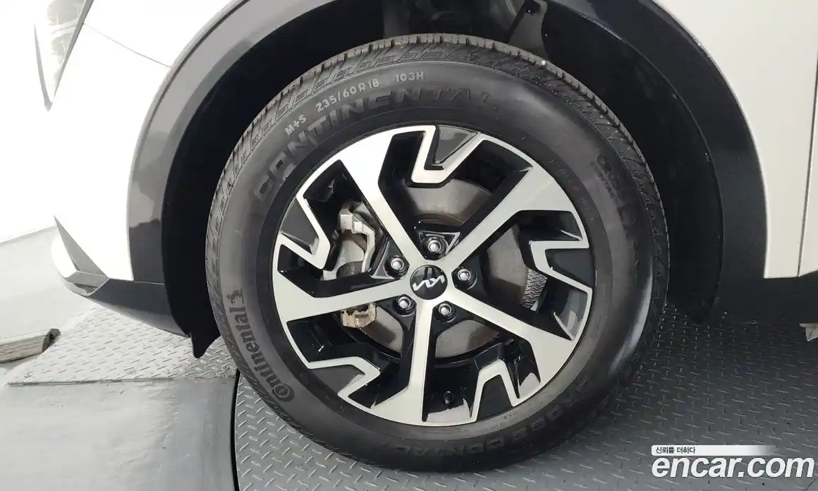 Kia Sportage 2023 1.6 гидро в Москве № 1342909, фото 4
