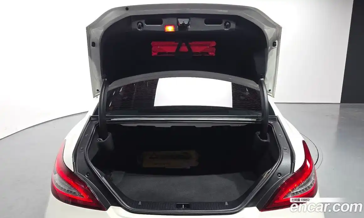 Mercedes-Benz CLS-Class 2017 2.1 гидро в Москве № 1909869, фото 20