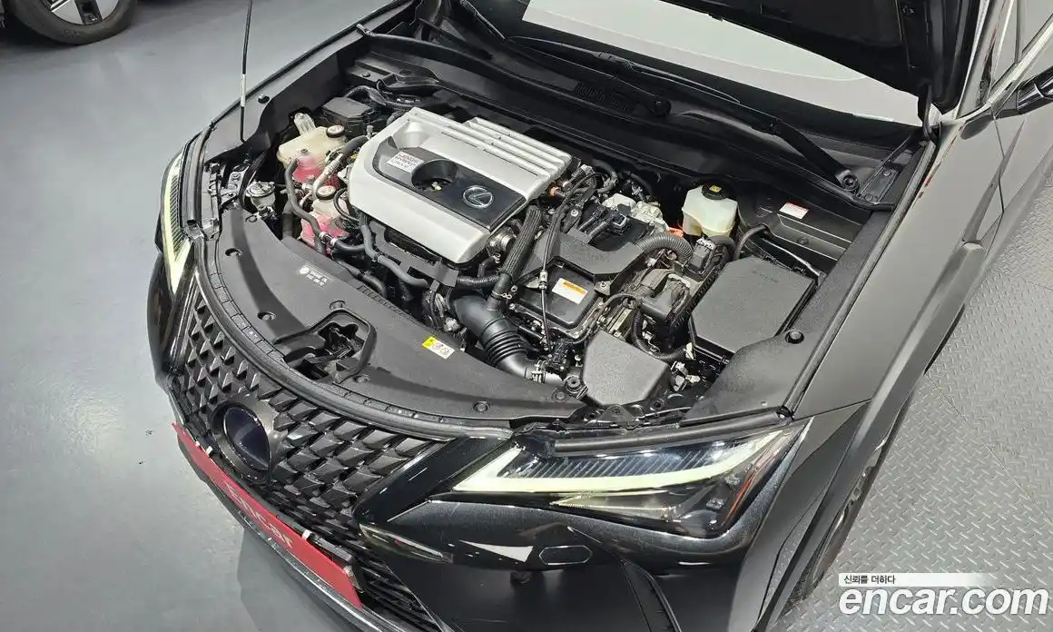 Lexus UX 2019 2.0 гидро в Москве № 1917033, фото 6