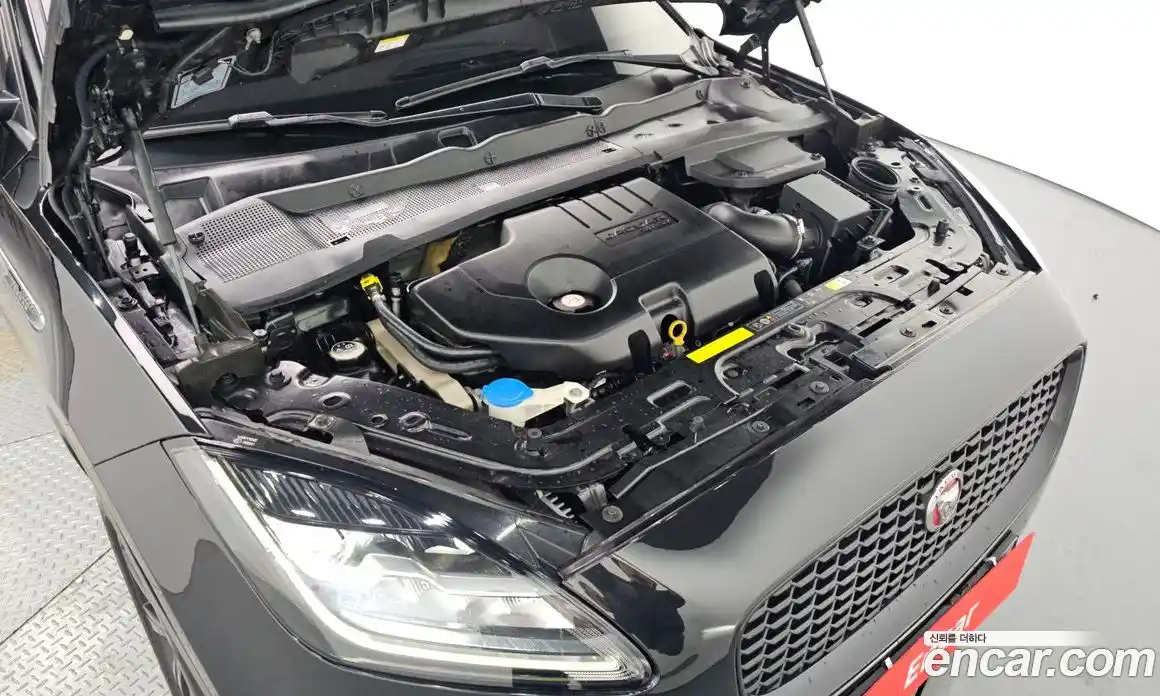Jaguar E-Pace 2019 2.0 гидро в Москве № 1921138, фото 6