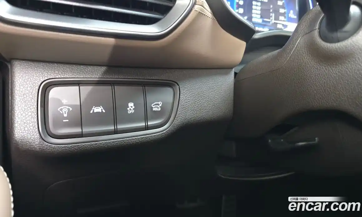 Hyundai Santa Fe 2019 2.0 гидро в Москве № 1278105, фото 22