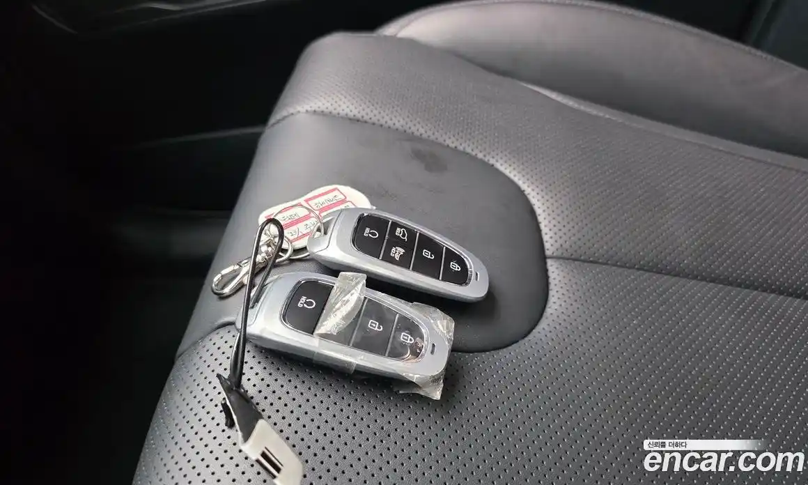 Hyundai Santa Fe 2023 1.6 гидро в Москве № 1317631, фото 28