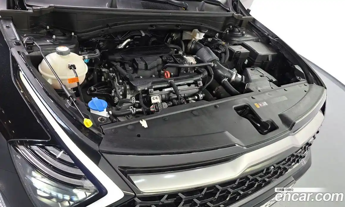 Kia Sportage 2022 1.6 гидро в Москве № 1418246, фото 6