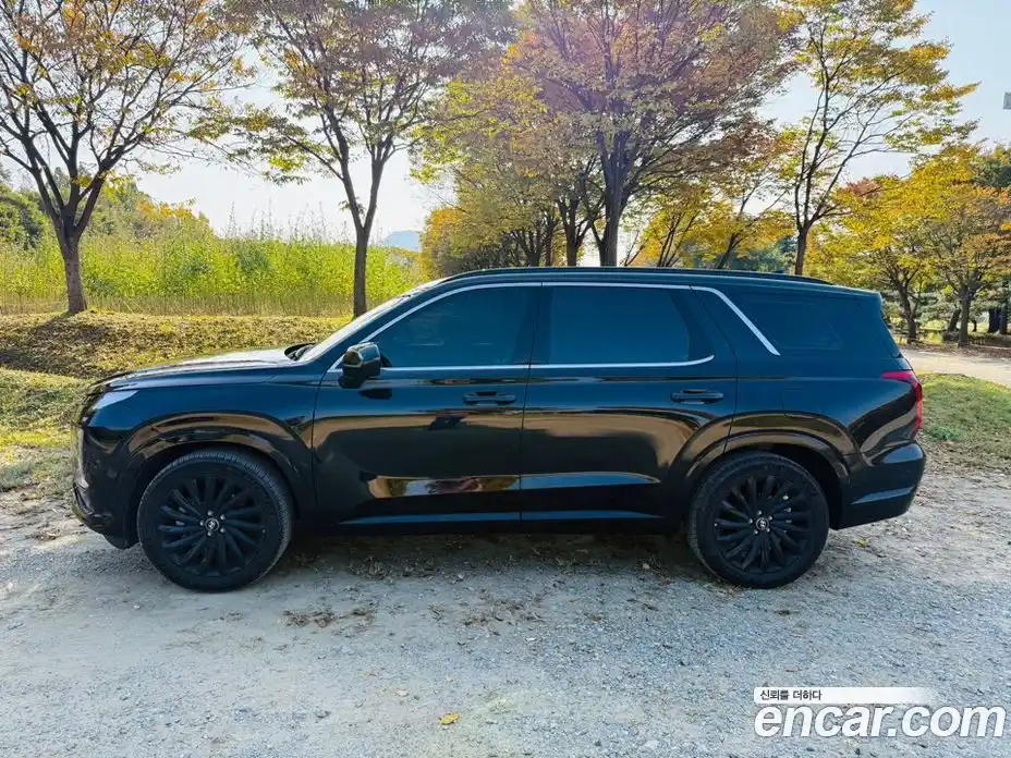 Hyundai Palisade 2024 3.8 гидро в Москве № 1903716, фото 11