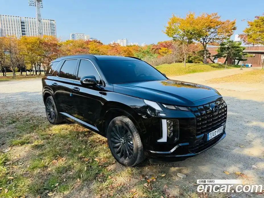 Hyundai Palisade 2024 3.8 гидро в Москве № 1903716, фото 12