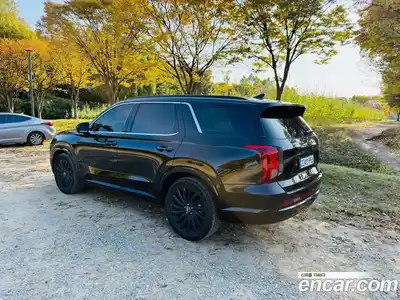 Hyundai Palisade 2024 3.8 гидро в Москве № 1903716, миниатюра 2
