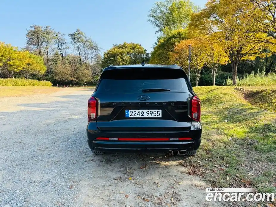 Hyundai Palisade 2024 3.8 гидро в Москве № 1903716, фото 4