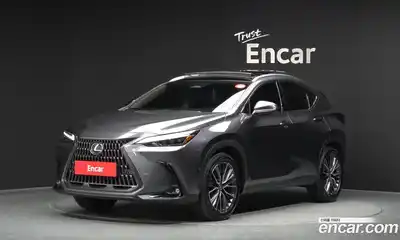 Lexus NX, 2024