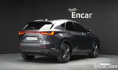 Lexus NX 2024 2.5 гидро в Москве № 1916923, миниатюра 2