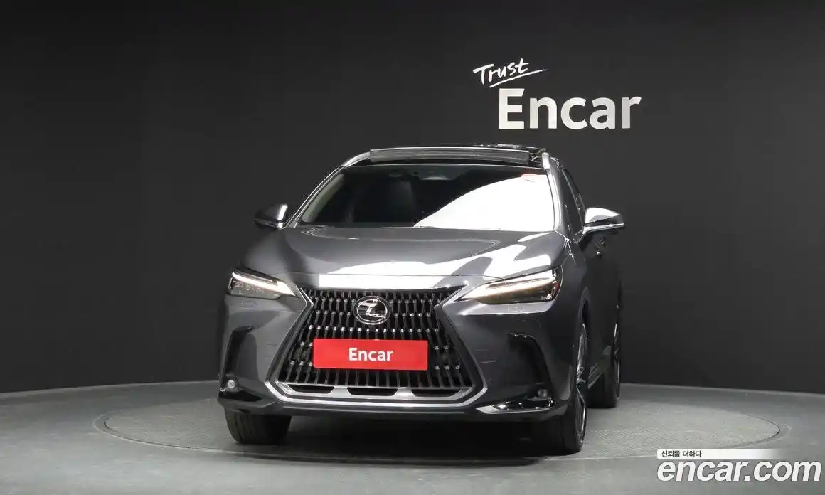 Lexus NX 2024 2.5 гидро в Москве № 1916923, фото 3