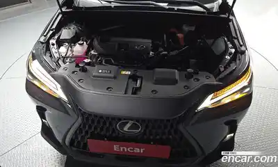 Lexus NX 2024 2.5 гидро в Москве № 1916923, миниатюра 6