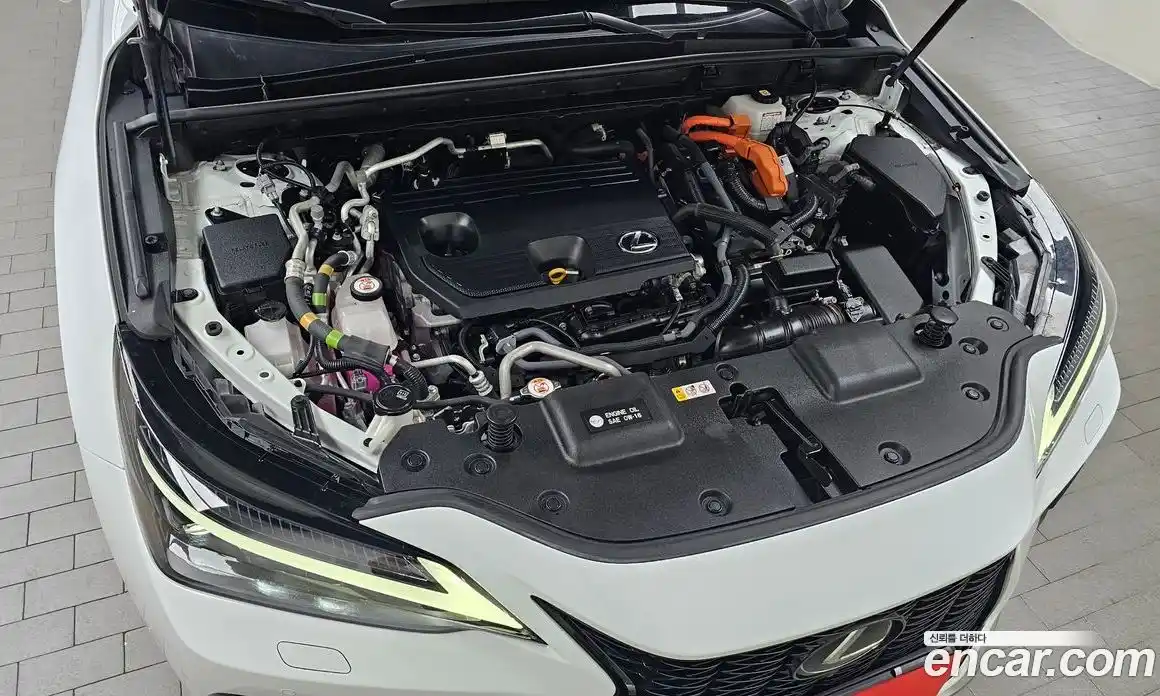 Lexus NX 2022 2.5 гидро в Москве № 1917048, фото 6