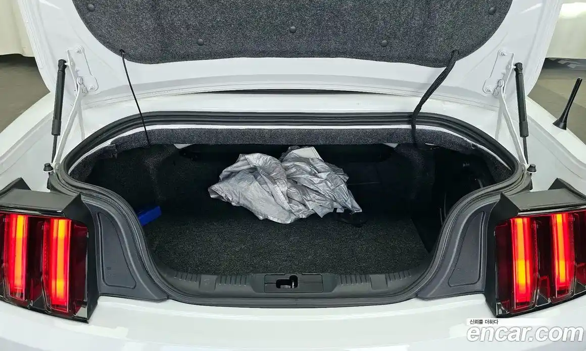Ford Mustang 2017 5.0 гидро в Москве № 1920307, фото 26