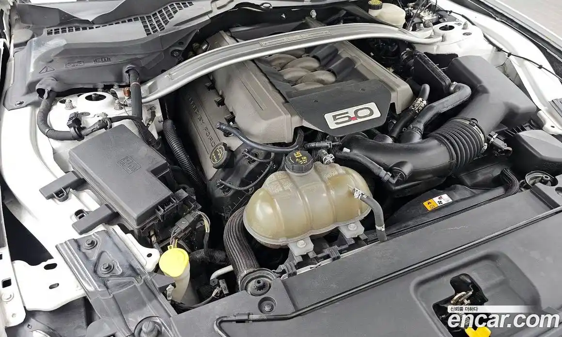 Ford Mustang 2017 5.0 гидро в Москве № 1920307, фото 6