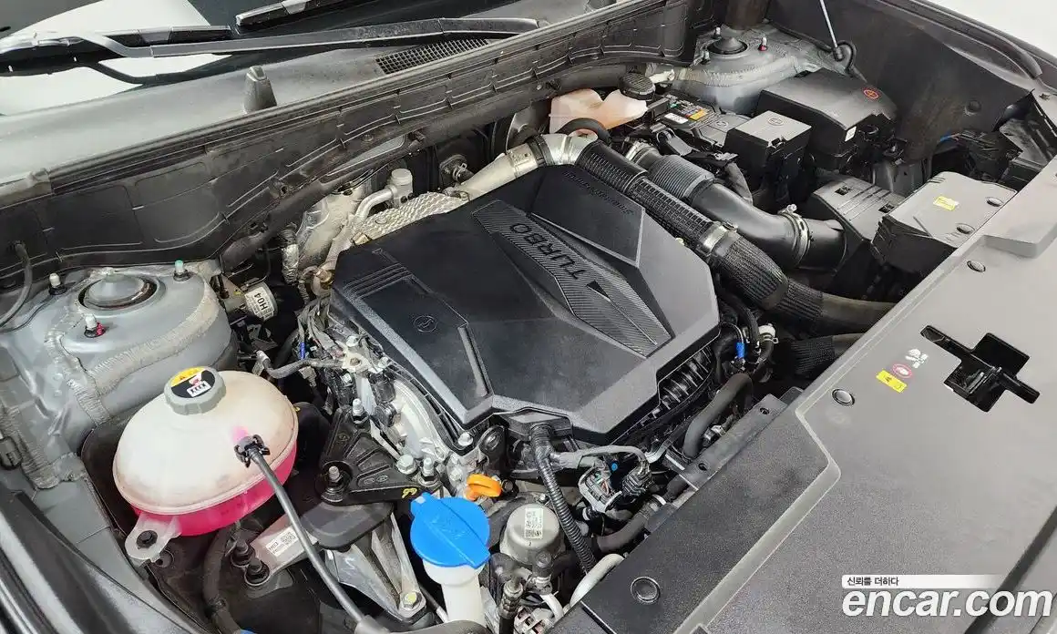 Hyundai Santa Fe 2023 2.5 гидро в Москве № 1757858, фото 6