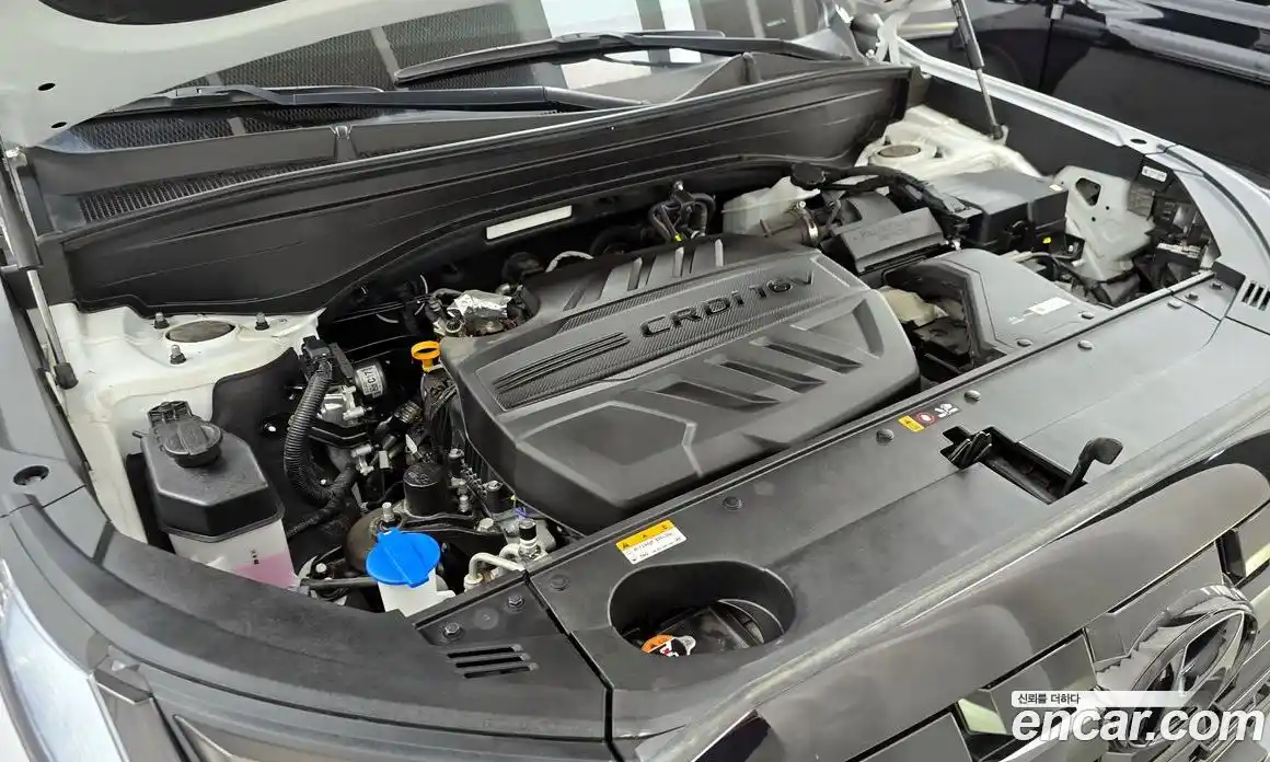 Hyundai Palisade 2023 2.2 гидро в Москве № 1830376, фото 6