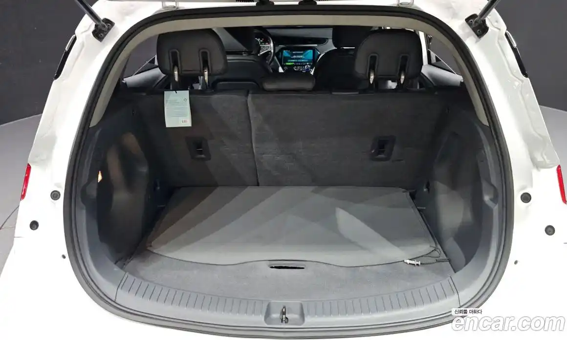 Chevrolet Bolt EV 2020 0.2 гидро в Москве № 1907750, фото 20