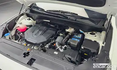 Hyundai Santa Fe 2021 2.2 гидро в Москве № 1684114, миниатюра 6