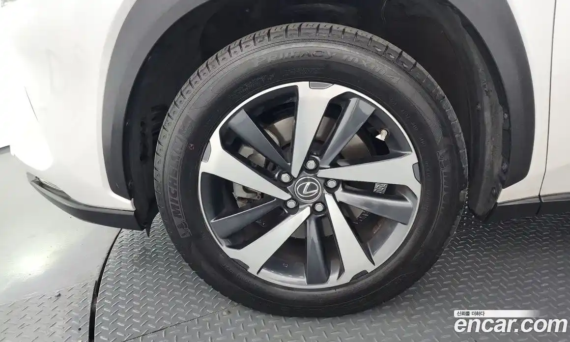 Lexus NX 2019 2.5 гидро в Москве № 1916995, фото 5