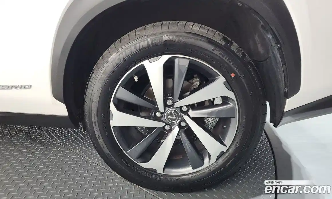 Lexus NX 2019 2.5 гидро в Москве № 1916995, фото 7