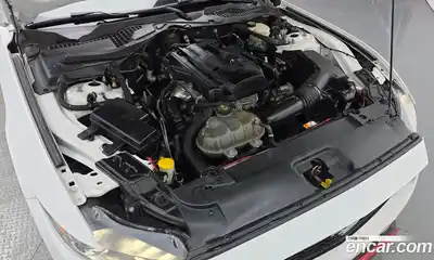 Ford Mustang 2017 2.3 гидро в Москве № 1920506, миниатюра 6
