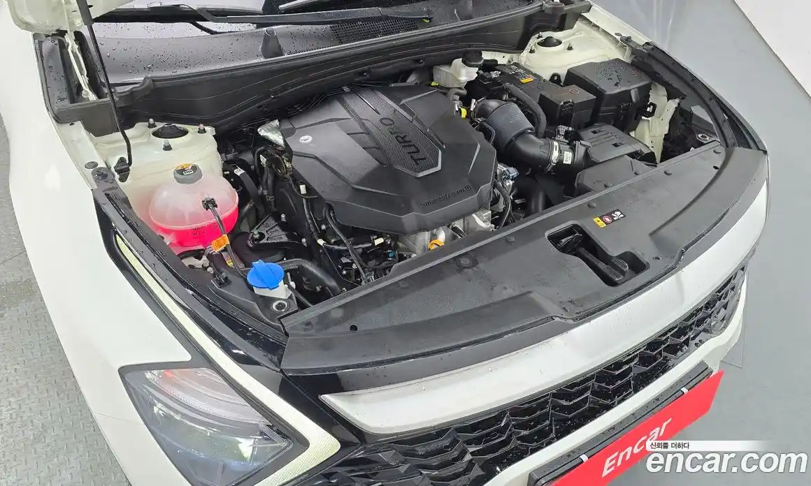 Kia Sportage 2022 2.0 гидро в Москве № 1758328, фото 6
