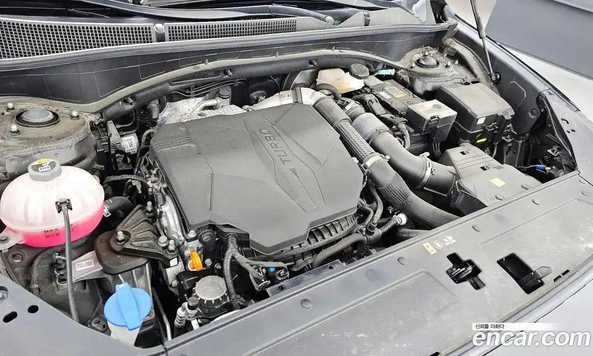 Hyundai Santa Fe 2023 2.5 гидро в Москве № 1830327, фото 6