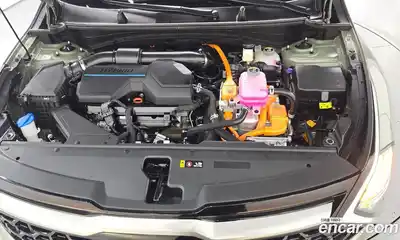Kia Sportage 2022 1.6 гидро в Москве № 1904914, миниатюра 6