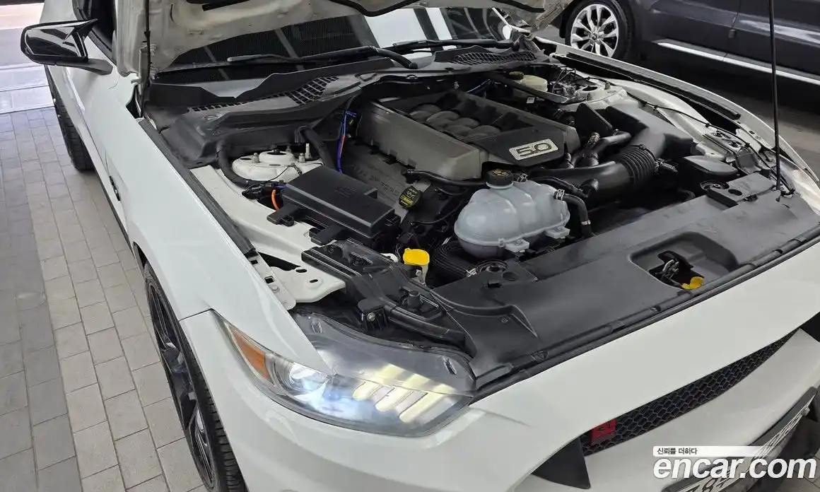 Ford Mustang 2015 5.0 гидро в Москве № 1920558, фото 6