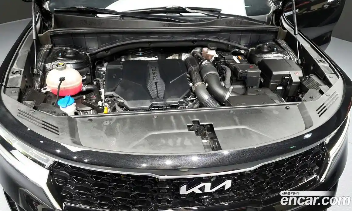 Kia Sorento 2022 2.5 гидро в Москве № 1399428, фото 6