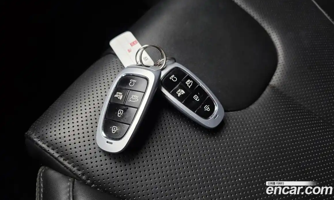 Hyundai Santa Fe 2021 2.2 гидро в Москве № 1244770, фото 29